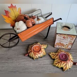 Cute 4pc Fall Decor Bundle